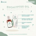 BONNELS EULAYPTUS ESSENTIAL OIL 10ML